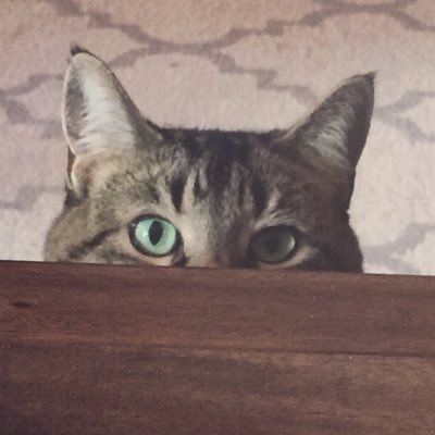 LColleenS's profile picture. Trying not to be late for everything and generally failing...