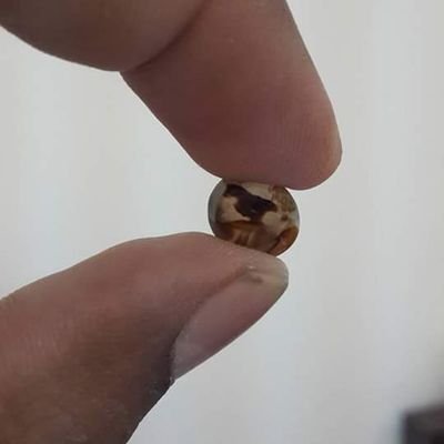 فك السحر بأذن الله
حل المشاكل الزوجية
رد المطلقة لزوجها ان شاء الله
خواتم روحانية خاصة في مجال الطاعة العمياء
للتواصل مع الشيخ ابو احمد
00905378652410