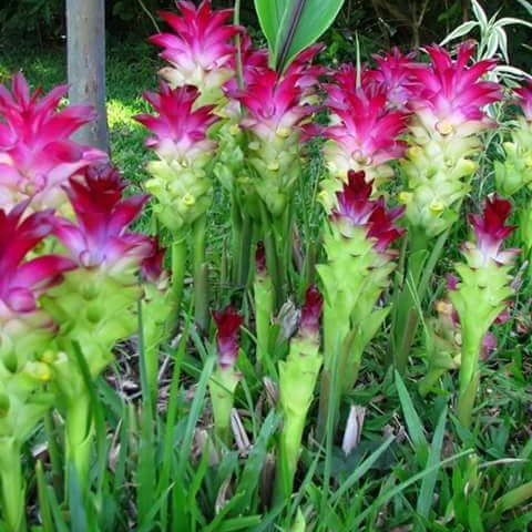 98565782So's profile picture. #Biologist #Naturalist