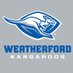 Weatherford Golf (@whsroogolf) Twitter profile photo Weatherford Golf (@whsroogolf) Twitter profile photo