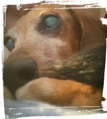 wonmayさんのプロフィール画像