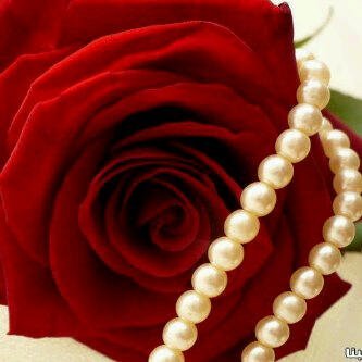 اللهم توفني ؤانتّ راضٍ عني واجعل مـوتتي عظيمہ و ثبتني عند سؤال الملكين ♡