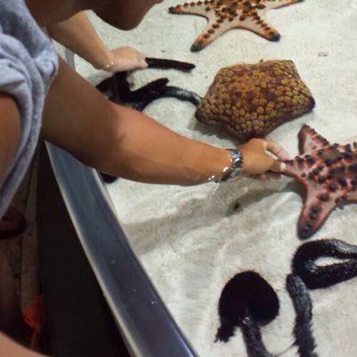 maejimayutaka3's profile picture. 23歳。プロの恋愛コンサルタント。本物かどうかはブログをご覧になればわかるかと。