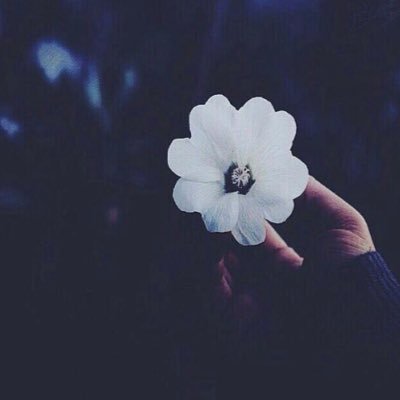 asirishooq1's profile picture. 