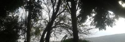 MScience891's profile picture. Science culture
Science culture