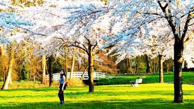 vinuslgowda's profile picture. 