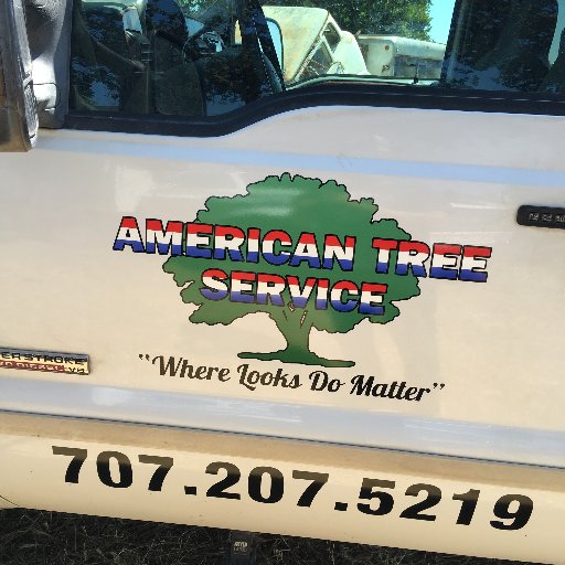American Tree Service - Professional Tree Care and Tree Maintenance. High quality of service + job always getting done in the time estimated. (530) 212-8326