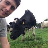 patrick cashman (@cashmanpa) 's Twitter Profile Photo patrick cashman (@cashmanpa) 's Twitter Profile Photo
