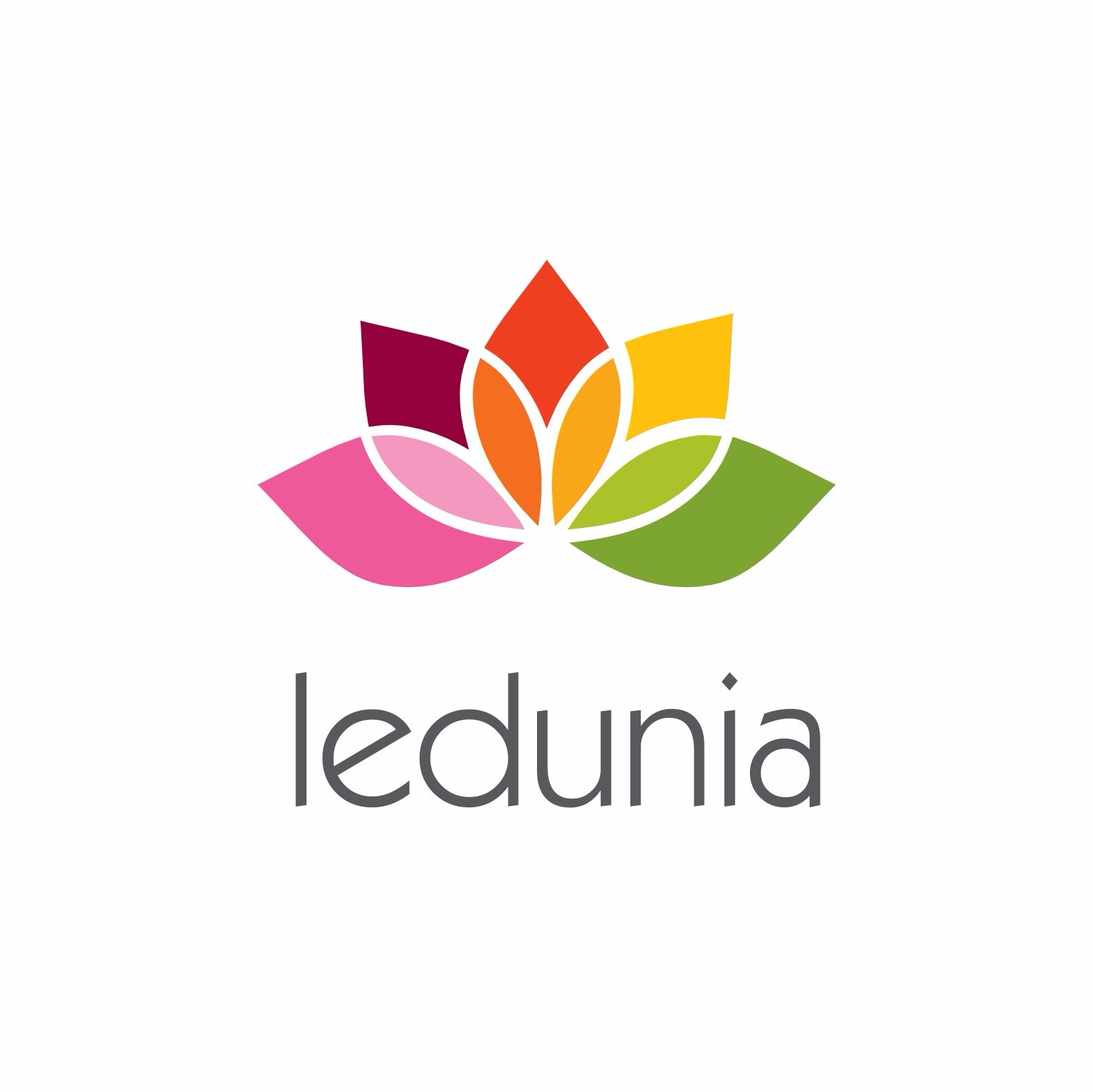 Ledunia is a powerful development platform for the Internet of Things. It’s a wifi-enabled development board, including a full TCP/IP stack.