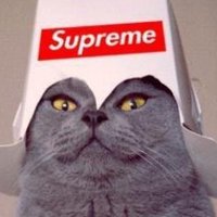 ThunderPsyker (@thunderpsyker) 's Twitter Profile