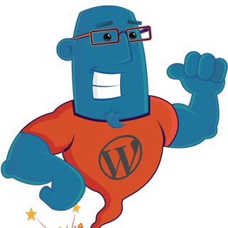 https://t.co/B6PAPGeeVY makes WordPress themes, plugins, optimizations, WooCommerce extensions, payment integrations and custom web developing