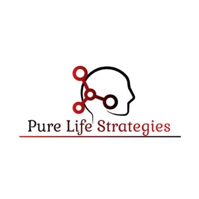 P_L_Strategies's profile picture. Life coach with flare & Innovation. Insightful, fun, & creative ways to assist you in your journey in life. https://t.co/NNlWQXtgdi