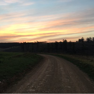 puddledck's profile picture. 