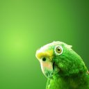 Andrew Melnyk - @AndrewMelnyk5 - Twitter