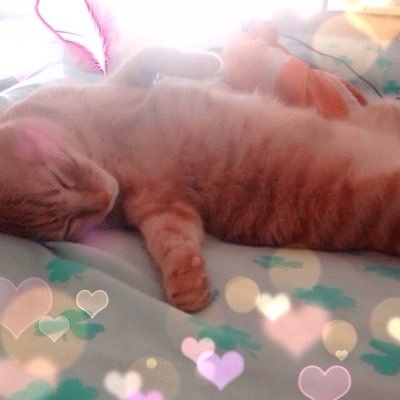 Lovegood0222's profile picture. 