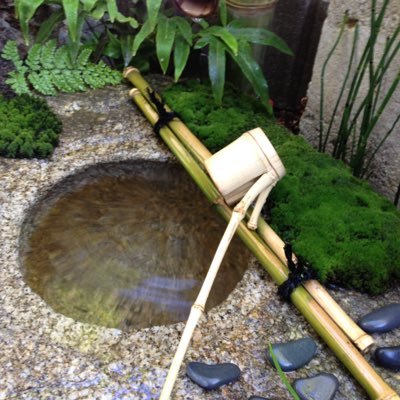 O Xrhsths Garden Green はなぶさ庭縁 Sto Twitter タマタマヒイラギスカシーン ちょっとずつ良くしていきまひょ マンション植栽 透かし剪定 はなぶさ庭縁