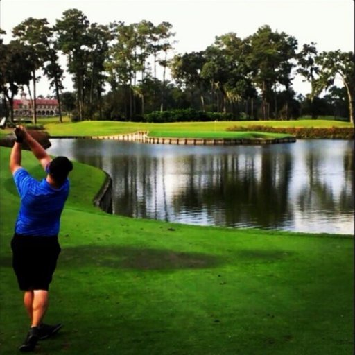 duckdive117's profile picture. 