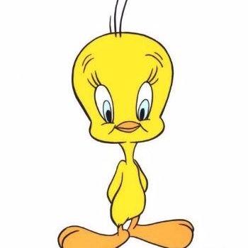 CarolJenning's profile picture. 