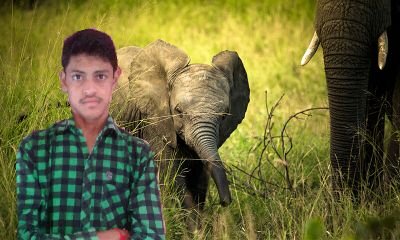 Satendrajoshi1's profile picture. I am INDIAN