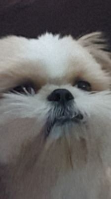 Flexbrew's profile picture. 