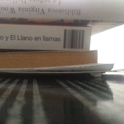 ElSesgodelSedal's profile picture. El Sesgo del Sedal es un canal cultural que propone una nueva alternativa en cuanto a difusión y pensamiento del mundo actual.