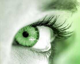 MINTdegradable's profile picture. Using tomorrow's technology for today's product. MINT is leading the plastic revolution. It's time to make the change to intelligent plastic products.