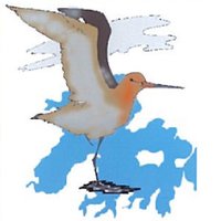 Poole Harbour Study (@phsg2018) 's Twitter Profile