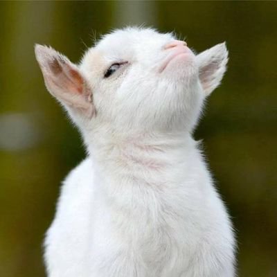 jdavidten's profile picture. 