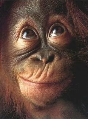 McFearless1307's profile picture. The only thing that matters to me is how you treat other people