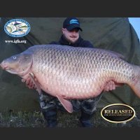 David Aldana fish (@aldanafishdavid) 's Twitter Profile