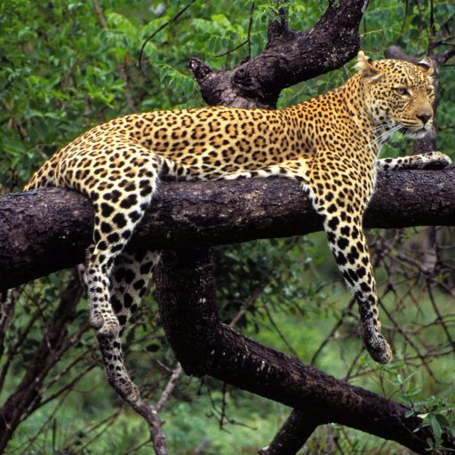 jop19nm99mn's profile picture. 