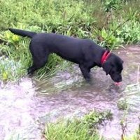 Rebecca (@rj_lucy_) 's Twitter Profile Photo