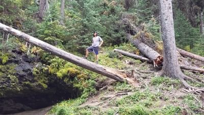 poryprom's profile picture. #VHEM