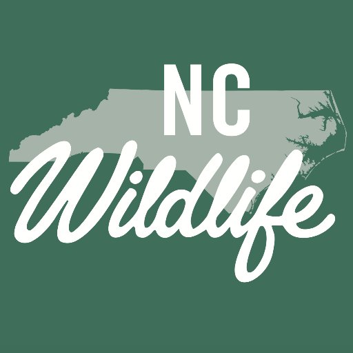 NCWildlife Profile Picture