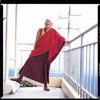 Losang Nyima(@Unity_Tibet) 's Twitter Profile Photo
