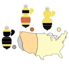 The Hines lab studies bumblebee bee genetics, evolution, and conservation.
