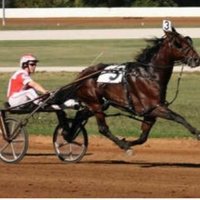Paul MacDonell (@macdonellpaul) 's Twitter Profile