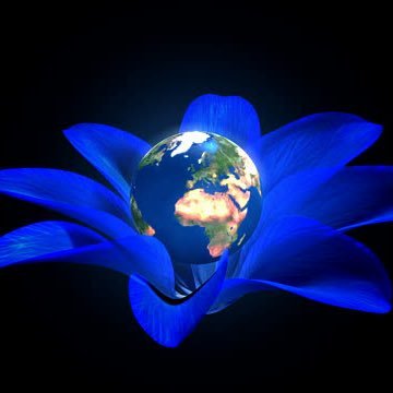 alcina82754727's profile picture. Ca  coisinha mais fofinha