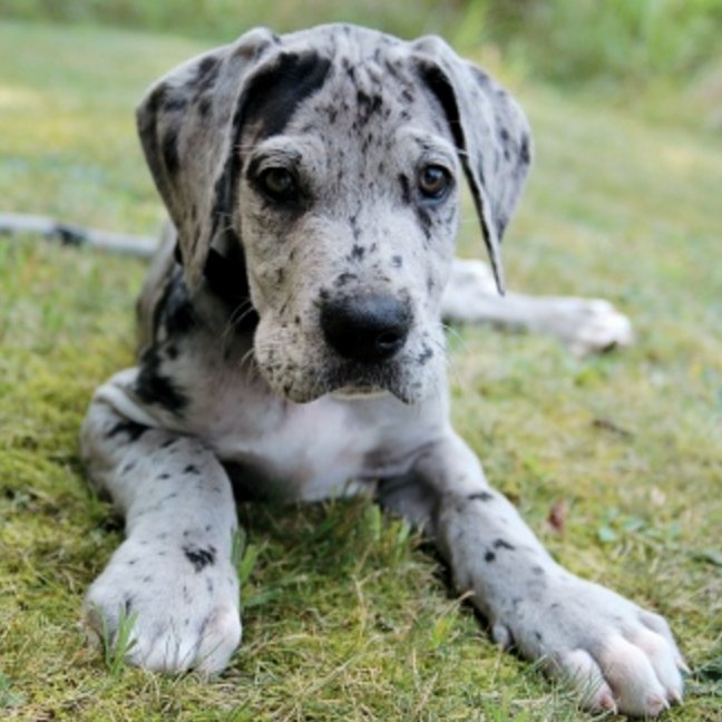 sara_vedtech's profile picture. 