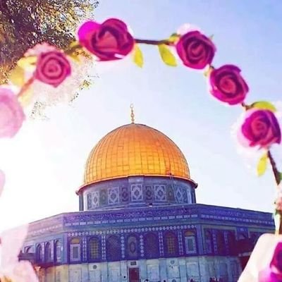 I'm not perfect ...Ordinary woman, Mother of Abdu and Nafisah #ILoveMyProphet in my heart❤️ #FreePalestine #Syria