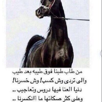 SaKJiFH7K6gzaNu's profile picture. 