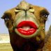 Ugly Camel (@TauntedDxb) Twitter profile photo