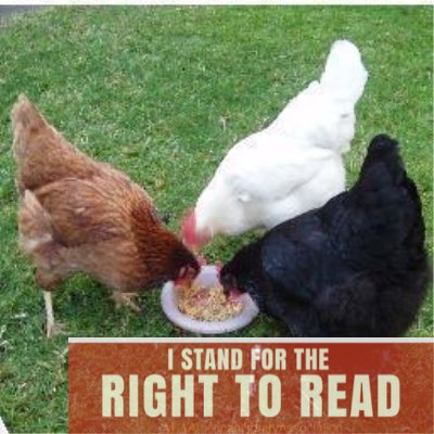 SueSteeleSmith's profile picture. Teacher / Student / Follower