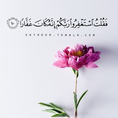 iisl5's profile picture. ‏‏‏صِدقةجاريّةللفِقيدمِهندفِهدإلزهرانِي💗.