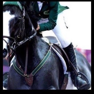 _n4545's profile picture. 