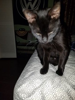 baja69veedub's profile picture. 