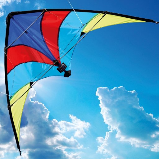Importers of Kites into the UK since 1979