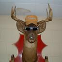 Todd Dale - @Solarchitect - Twitter