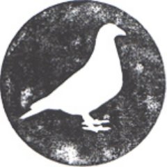 thepigeonfeed Profile Picture
