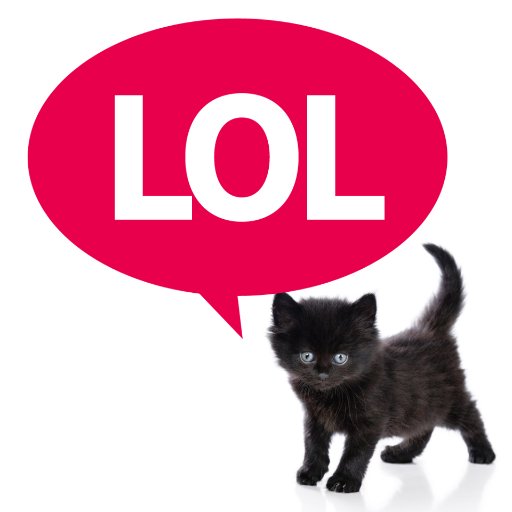 Welol_cats's profile picture. Meow :3